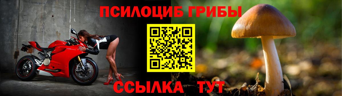 Галлюциногенные грибы мухоморы Черногорск