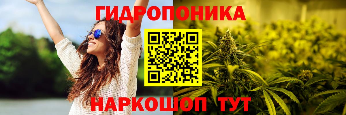 Шишки марихуана Amnesia  Вход с VPN  Шишки марихуана Bruce Banner  Черногорск  Бошки марихуана White Widow 